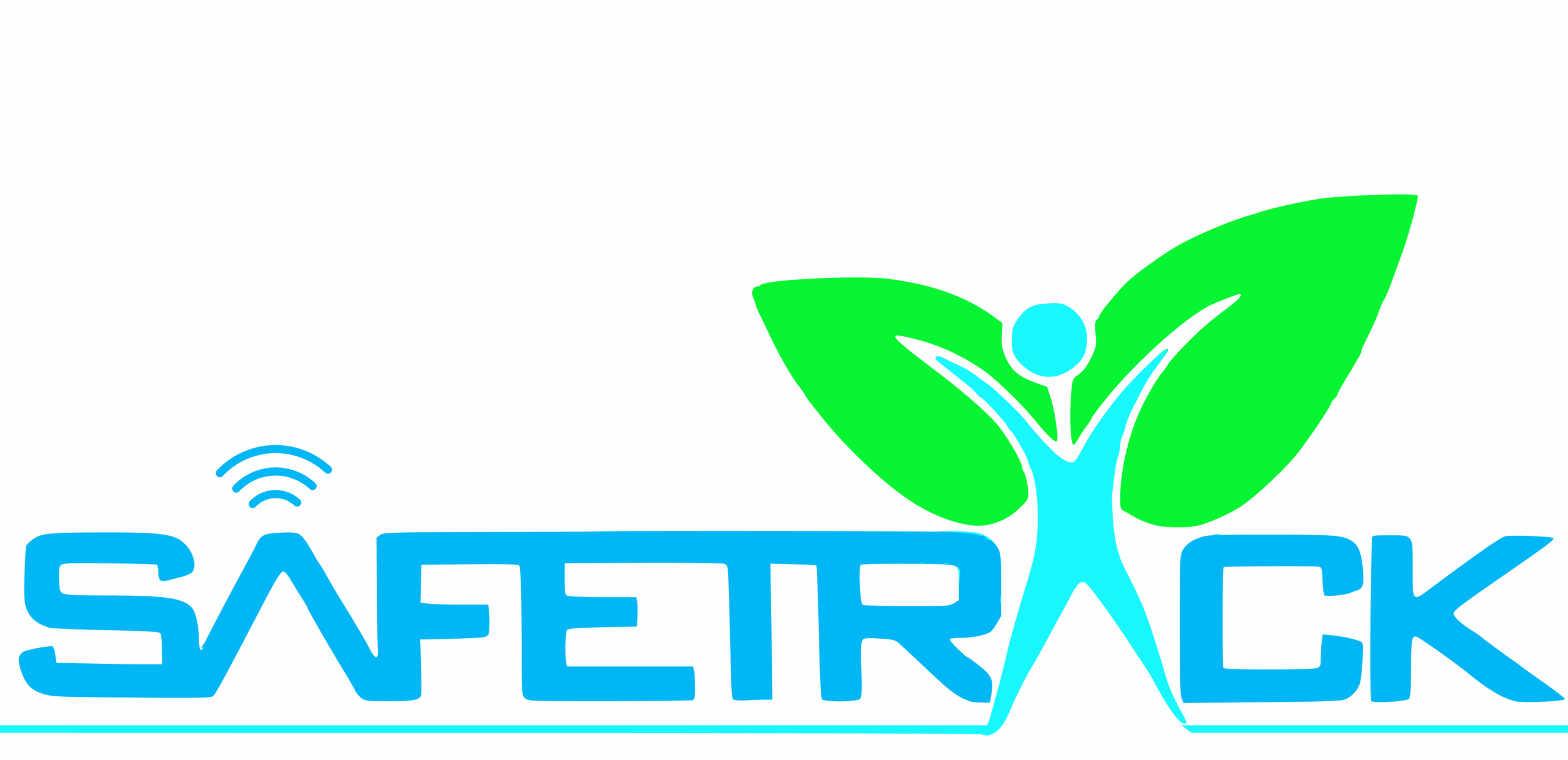 Logo Safetrack